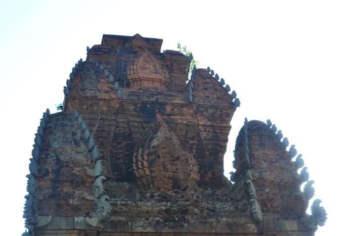 d5a30a57d815314b6804 Về Bình Định chiêm ngưỡng tháp Cánh Tiên 6