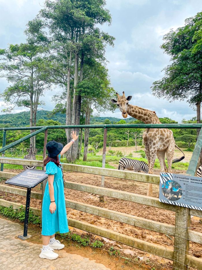 d5e7f1c02582ccdc9593 Tranh thủ đi xuyên Việt, du lịch nước ngoài cuối hè 40