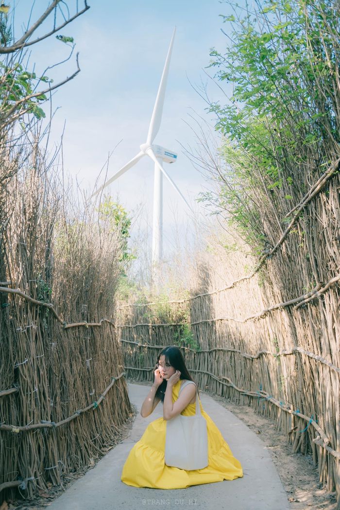 d7b0b5ae31ecd8b281fd Chuyến đi 4.000 km xuyên Việt sau khi tốt nghiệp đại học 30