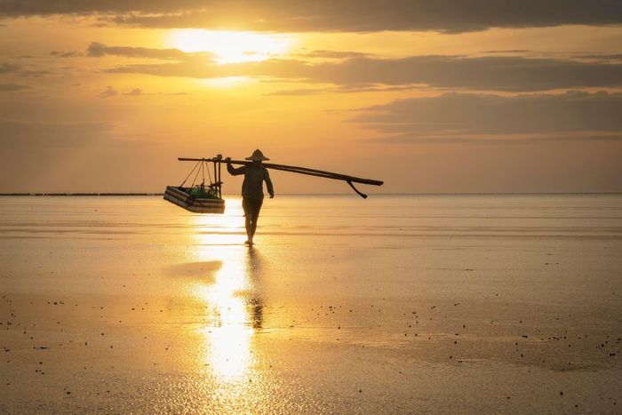 Ấn tượng cảnh sắc bình minh đẹp mơ màng trên khắp Việt Nam 46