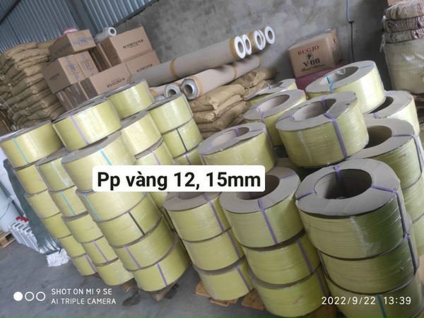 day-dai-nhua-pp-vang2012mm2015mm Dây đai nhựa PP vàng 12mm, 15mm