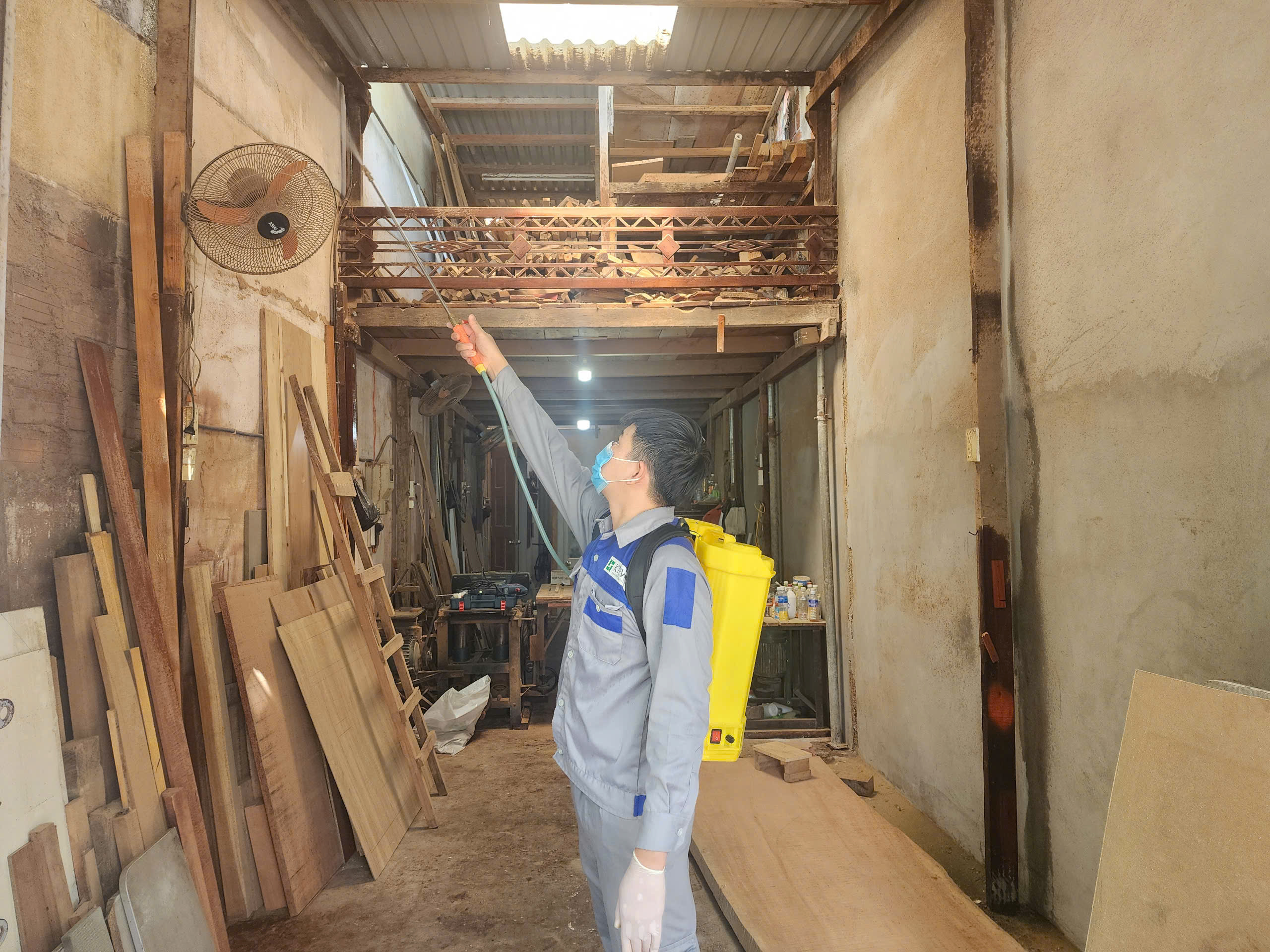 dich-vu-diet-moi Dịch vụ diệt mối