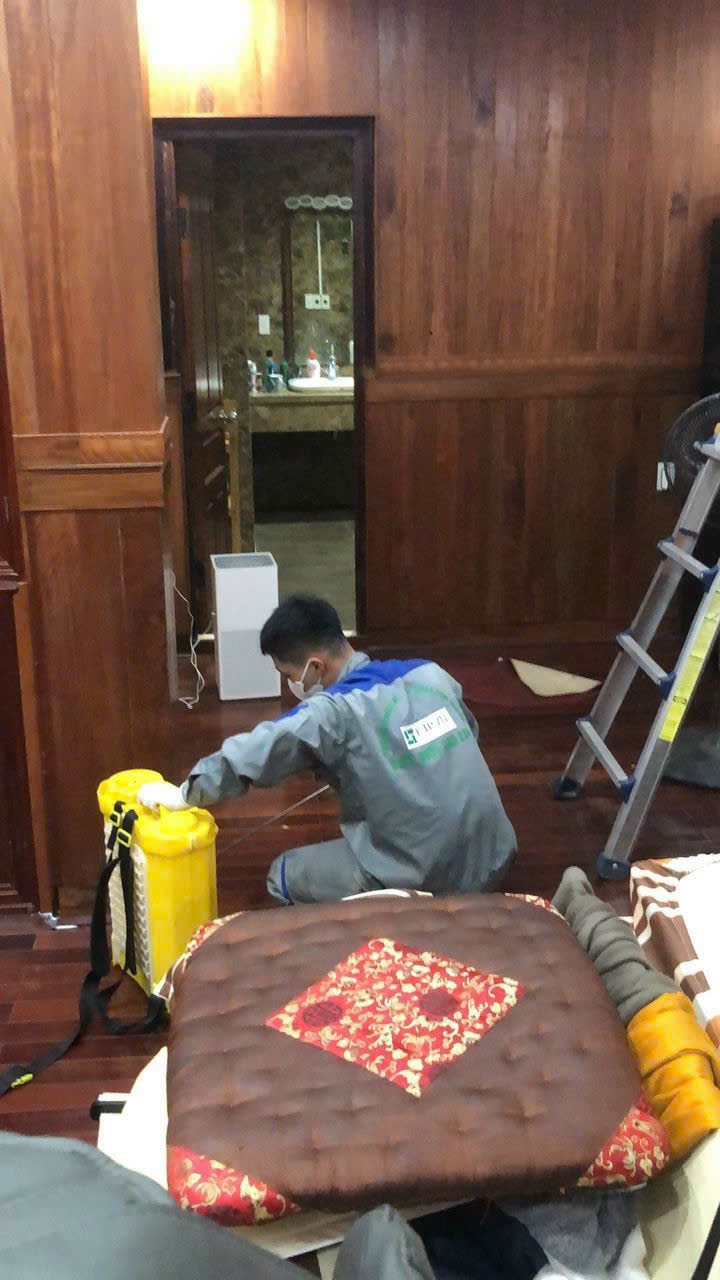 dich-vu-diet-moi2 Dịch vụ diệt mối