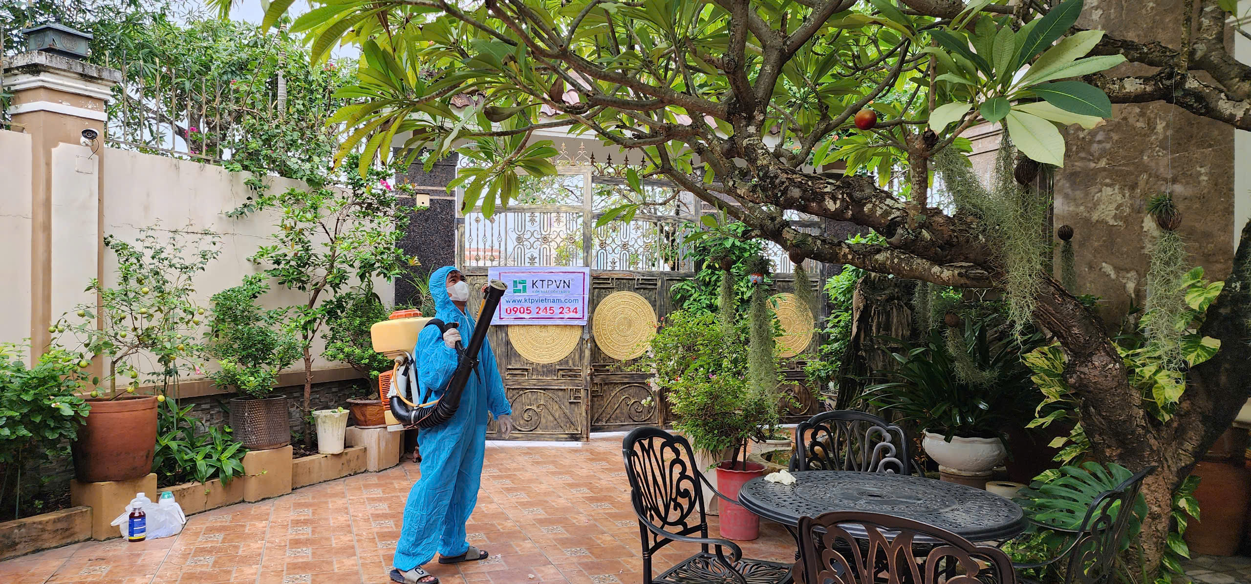 dich-vu-phun-con-trung Dịch vụ phun côn trùng