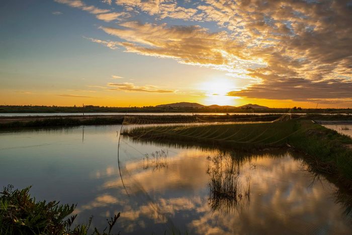 Ấn tượng cảnh sắc bình minh đẹp mơ màng trên khắp Việt Nam 0