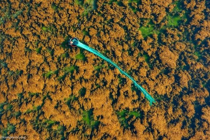 e1e2ab8e4bcca292fbdd Hình ảnh ngư dân tung lưới đánh cá đầy 'ảo diệu' ở Bình Định khiến ai cũng trầm trồ về cảnh sắc Việt Nam 28