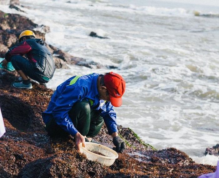 Vào mùa 'lộc trời' mọc lên từ đá, người dân đi lấy về bán giá hàng triệu đồng/kg 8