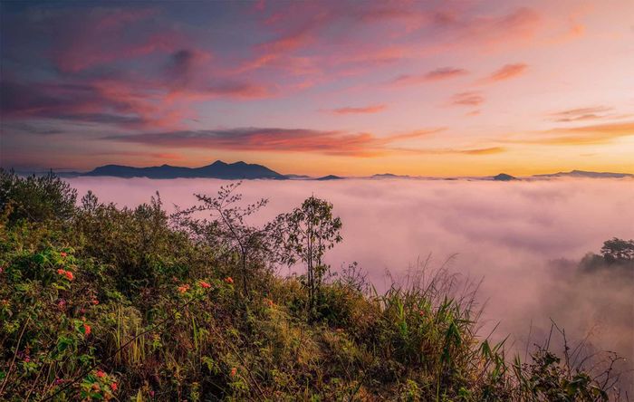 Ấn tượng cảnh sắc bình minh đẹp mơ màng trên khắp Việt Nam 20