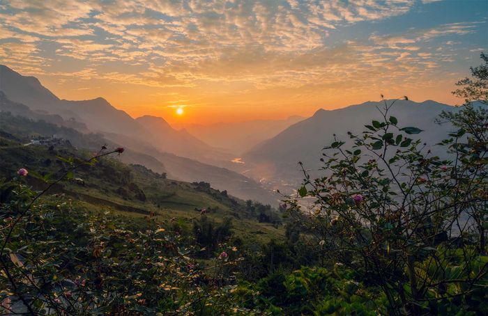 Ấn tượng cảnh sắc bình minh đẹp mơ màng trên khắp Việt Nam 48