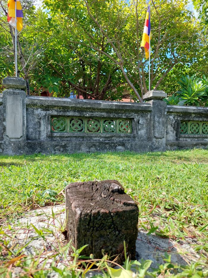 f34d4f8299c0709e29d1 Ánh đạo vàng trên biển lớn, kỳ 2: Thăm quần thể 9 ngôi chùa Việt giữa Trường Sa 15