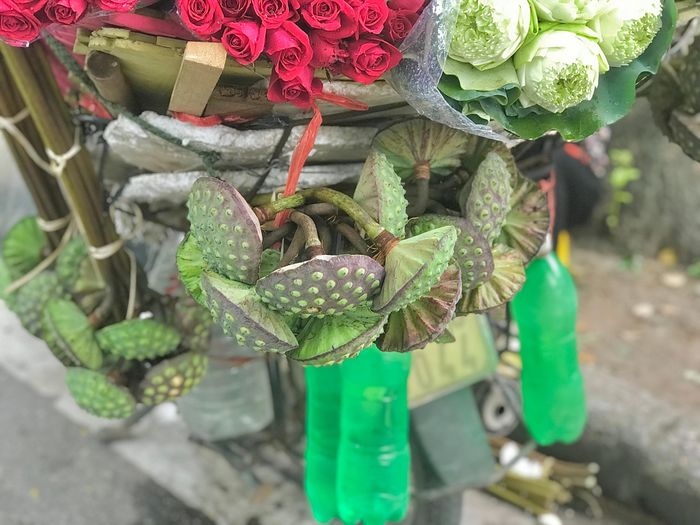 Phố Hà Nội rực rỡ và mới lạ với sắc sen Quan Âm 20