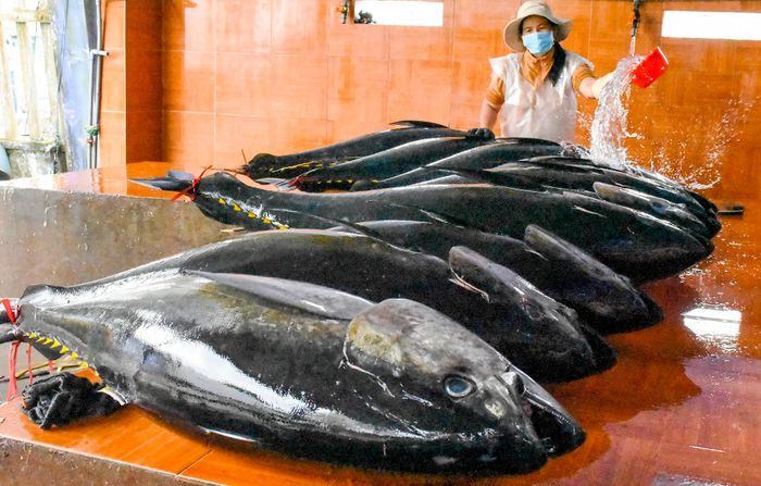 f6b5bdb871fa98a4c1eb Nhiều điểm đến mới ở Bình Định 12