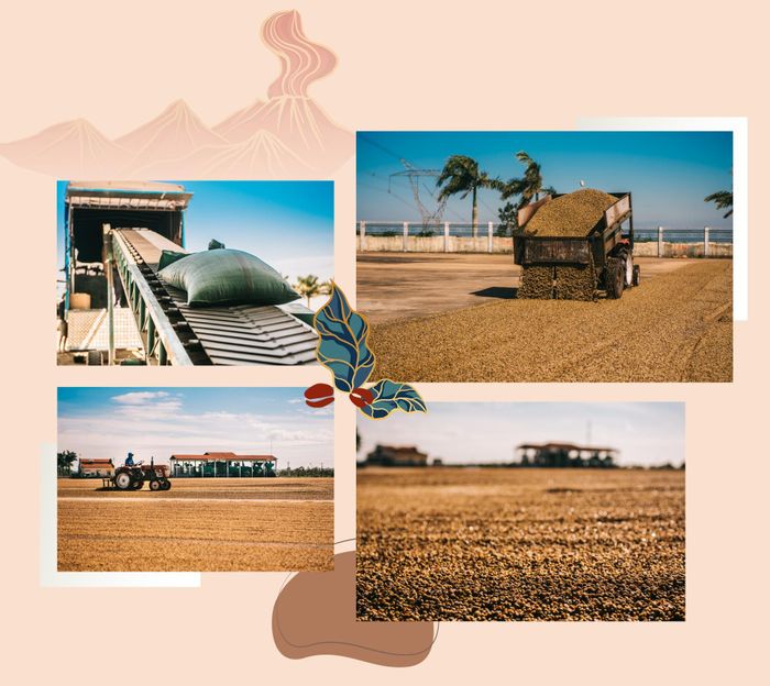 CADA - viên ngọc ẩn mình nơi cao nguyên 34