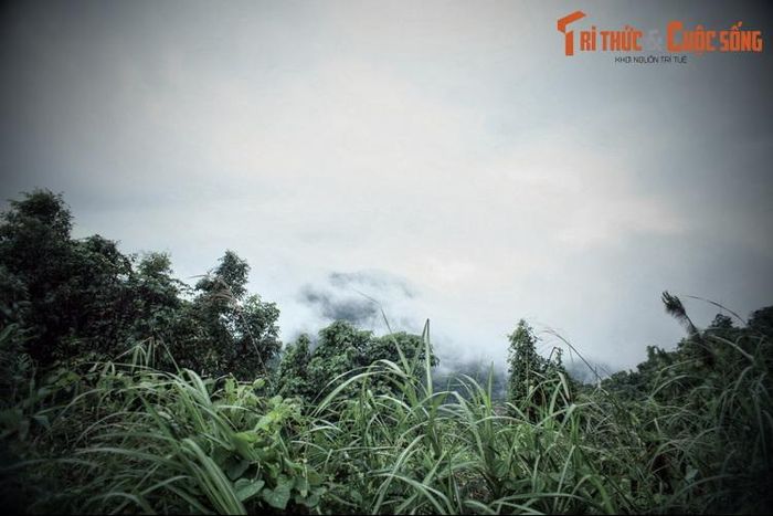 Giải mã chuyện liêu trai bí ẩn trên đèo Bảo Lộc 14