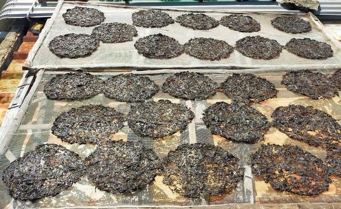 Vào mùa 'lộc trời' mọc lên từ đá, người dân đi lấy về bán giá hàng triệu đồng/kg 18