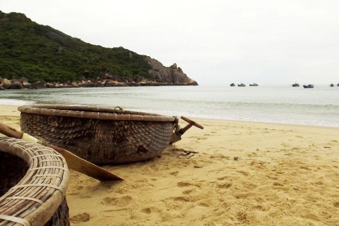 ff7a3229c36b2a35737a Khám phá bãi biển Trung Lương 16