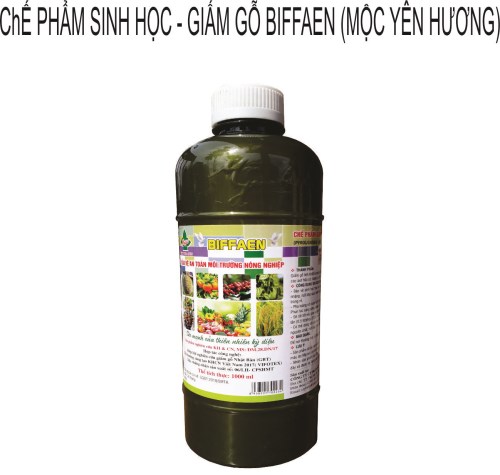 giam20go20bifaen20t202 Giấm gỗ Bifaen