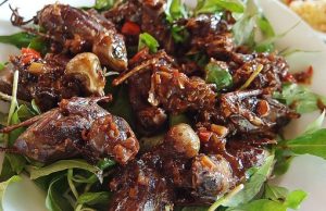 Chim mía Phú Phong