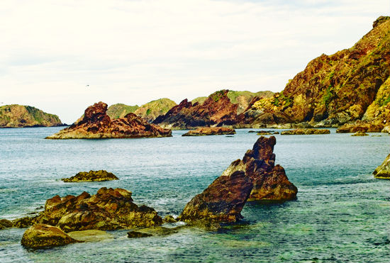 hinh-anh-0-3 dao-yen-tp-quy-nhon-0