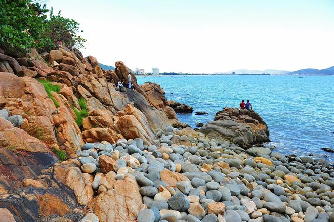 hinh-anh-0-7 bai-trung-0