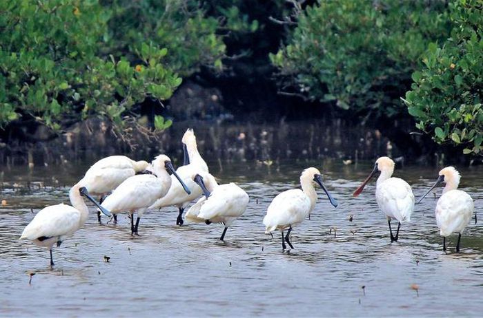 hinh-anh-1-2 hinh-anh-1.jpg