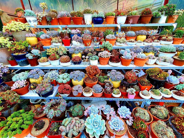 hinh-anh-1-34 hinh-anh-1.jpg