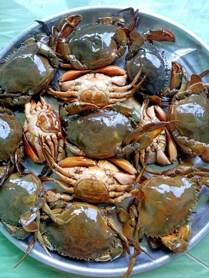 hinh-anh-1-40 hinh-anh-1.jpg