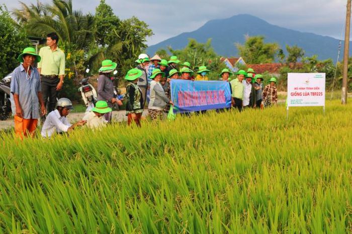 hinh-anh-1-41 hinh-anh-1.jpg