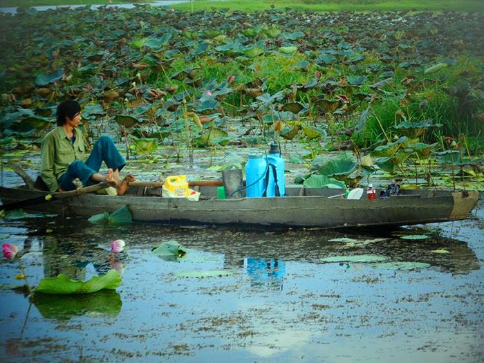 hinh-anh-1-42 hinh-anh-1.jpg