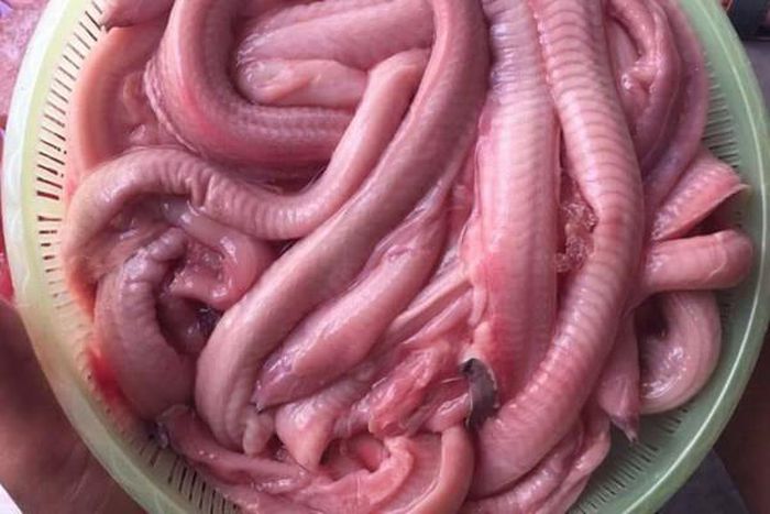 hinh-anh-1-44 hinh-anh-1.jpg