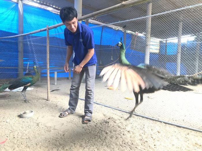 hinh-anh-1-51 hinh-anh-1.jpg