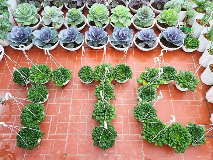 hinh-anh-1-55 hinh-anh-1.jpg