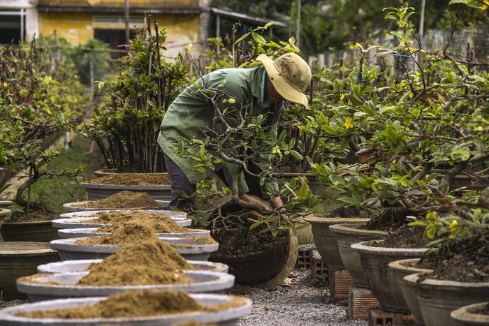 hinh-anh-1-58 hinh-anh-1.jpg