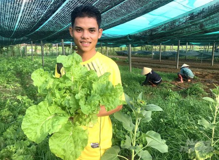 hinh-anh-1-59 hinh-anh-1.jpg