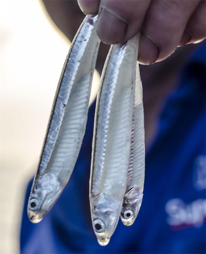 hinh-anh-1-6 hinh-anh-1.jpg