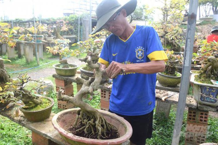 hinh-anh-1-63 hinh-anh-1.jpg