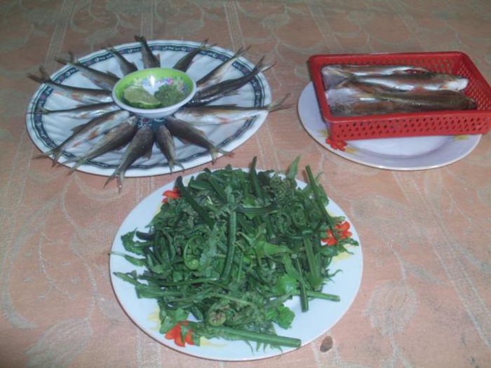 hinh-anh-1-69 hinh-anh-1.jpg