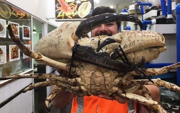 hinh-anh-1-73 hinh-anh-1.jpg