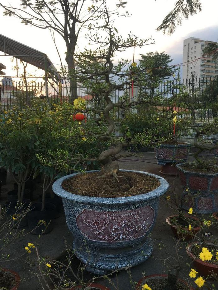 hinh-anh-1-75 hinh-anh-1.jpg