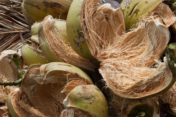 hinh-anh-10-2 hinh-anh-10.jpg