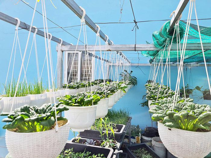 hinh-anh-10-6 hinh-anh-10.jpg