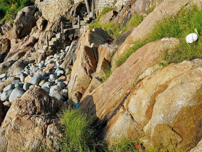 hinh-anh-10 hinh-anh-10.jpg