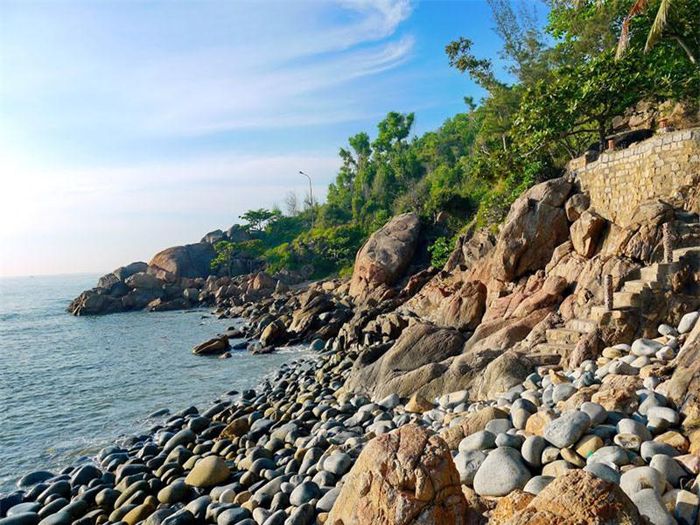 hinh-anh-11 hinh-anh-11.jpg