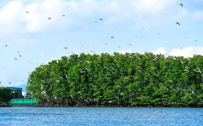 hinh-anh-2-1 hinh-anh-2.jpg