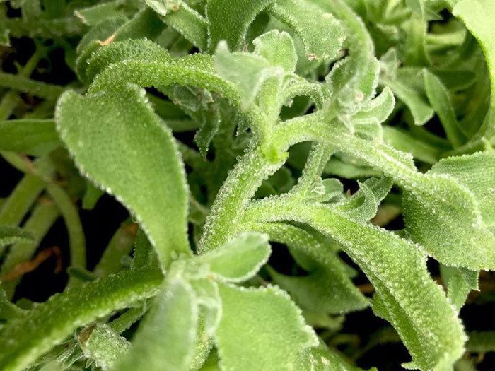 hinh-anh-2-27 hinh-anh-2.jpg