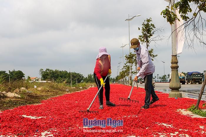 hinh-anh-2-28 hinh-anh-2.jpg