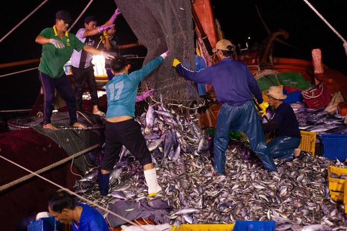 hinh-anh-2-3 hinh-anh-2.jpg