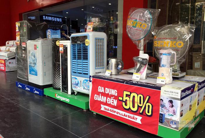 hinh-anh-2-30 hinh-anh-2.jpg