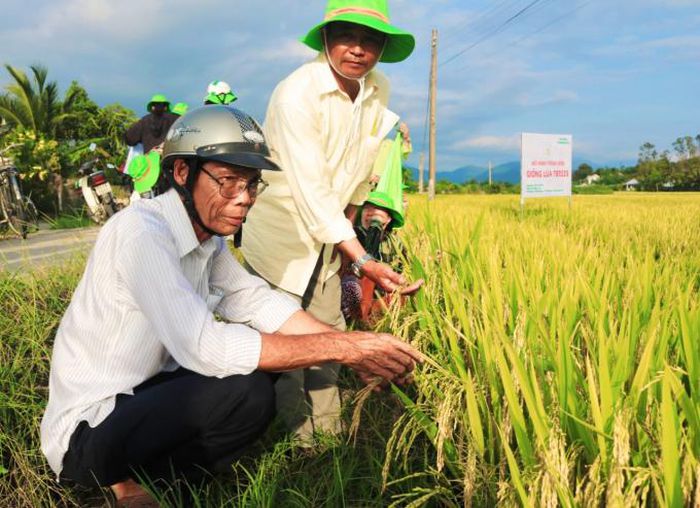 hinh-anh-2-31 hinh-anh-2.jpg