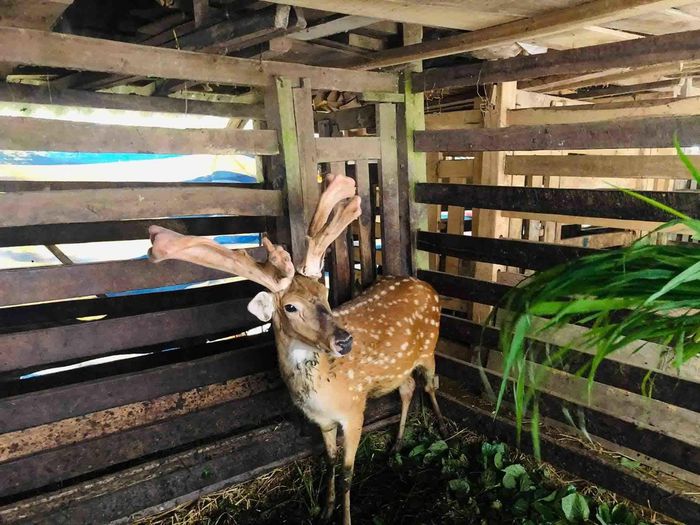 hinh-anh-2-37 hinh-anh-2.jpg